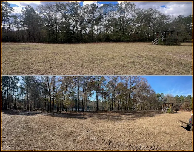 Forestry Mulching