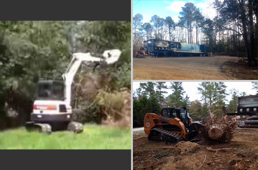 Land Management