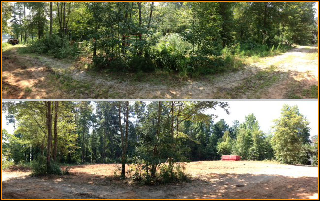 Lot Clearing