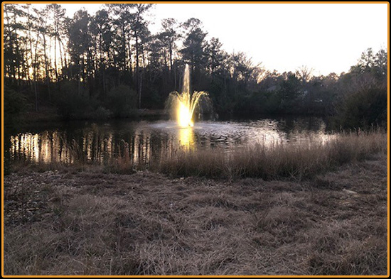 Pond Maintenance